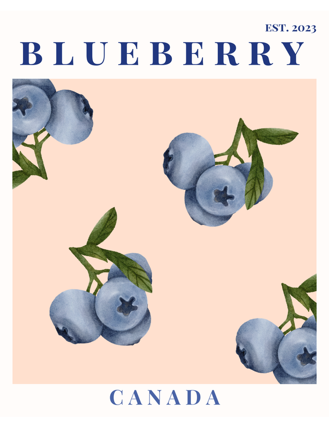 Blueberry Canada Botanical Illustration Poster