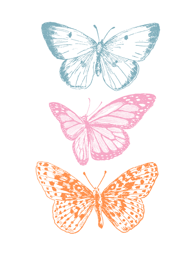 Butterfly Trio Poster in Blue Pink Orange