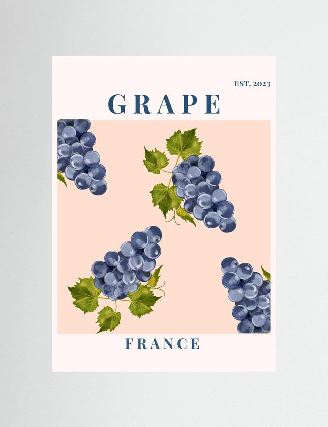 Grape France Botanical Poster | Vintage Fruit Art Print - Framzio