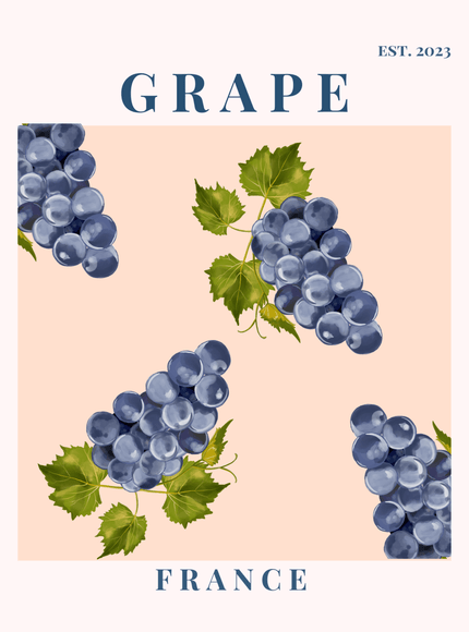 Grape France Botanical Poster | Vintage Fruit Art Print - Framzio